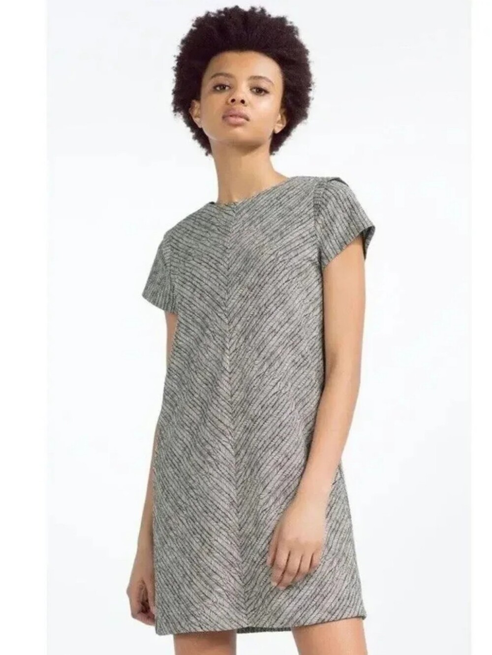 Zara Gray Mini Women's Dress Size Small